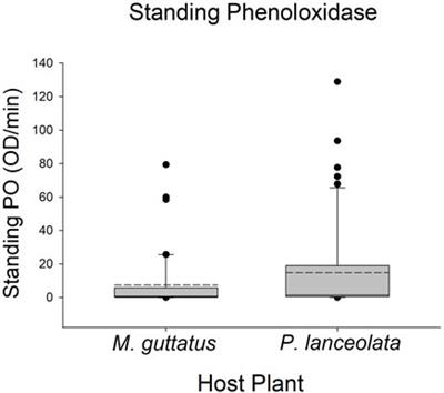 Feeding on an exotic host plant enhances plasma levels of phenoloxidase by modulating feeding efficiency in a specialist insect herbivore